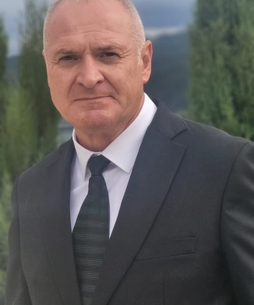Ovidiu Ilisei 
 Vicepreședinte
